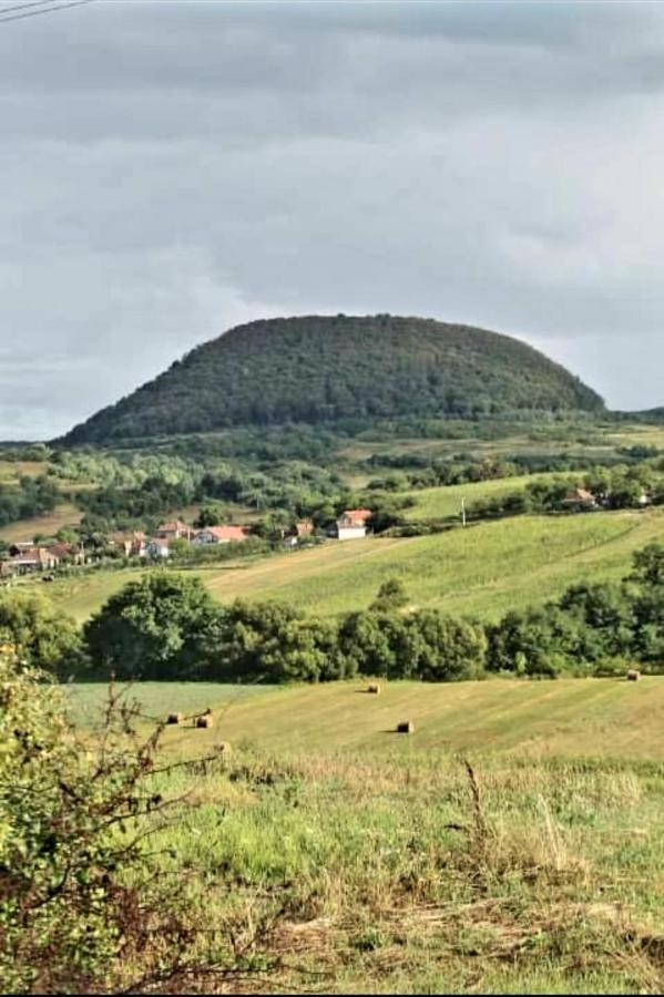 Vatra Strabunilor Villa Moigrad Buitenkant foto
