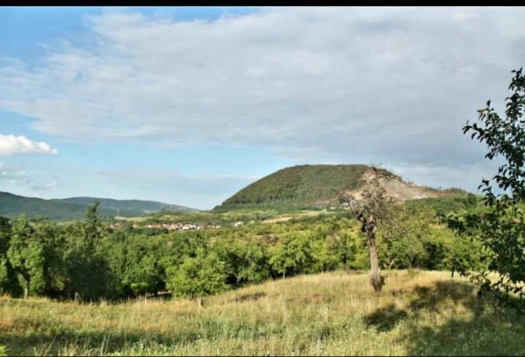 Vatra Strabunilor Villa Moigrad Buitenkant foto